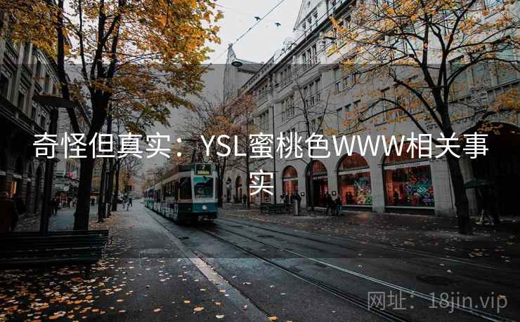 奇怪但真实：YSL蜜桃色WWW相关事实