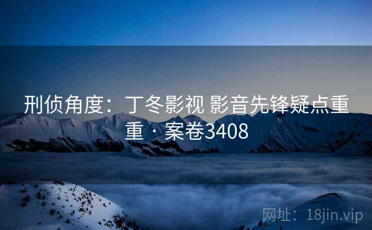 刑侦角度：丁冬影视 影音先锋疑点重重 · 案卷3408